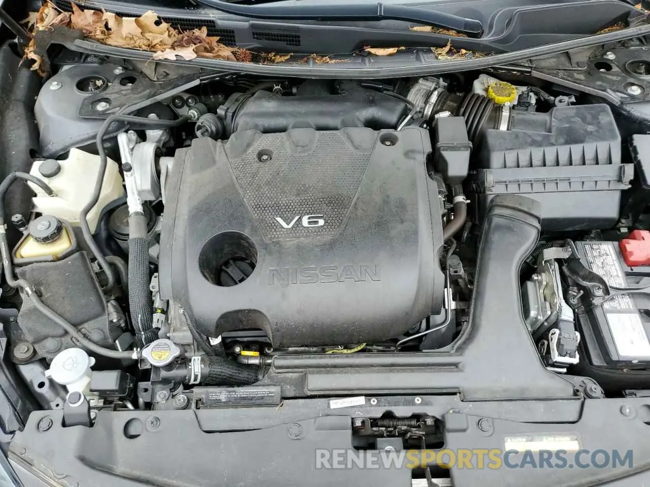 11 Фотография поврежденного автомобиля 1N4AA6CV7NC505556 NISSAN MAXIMA 2022