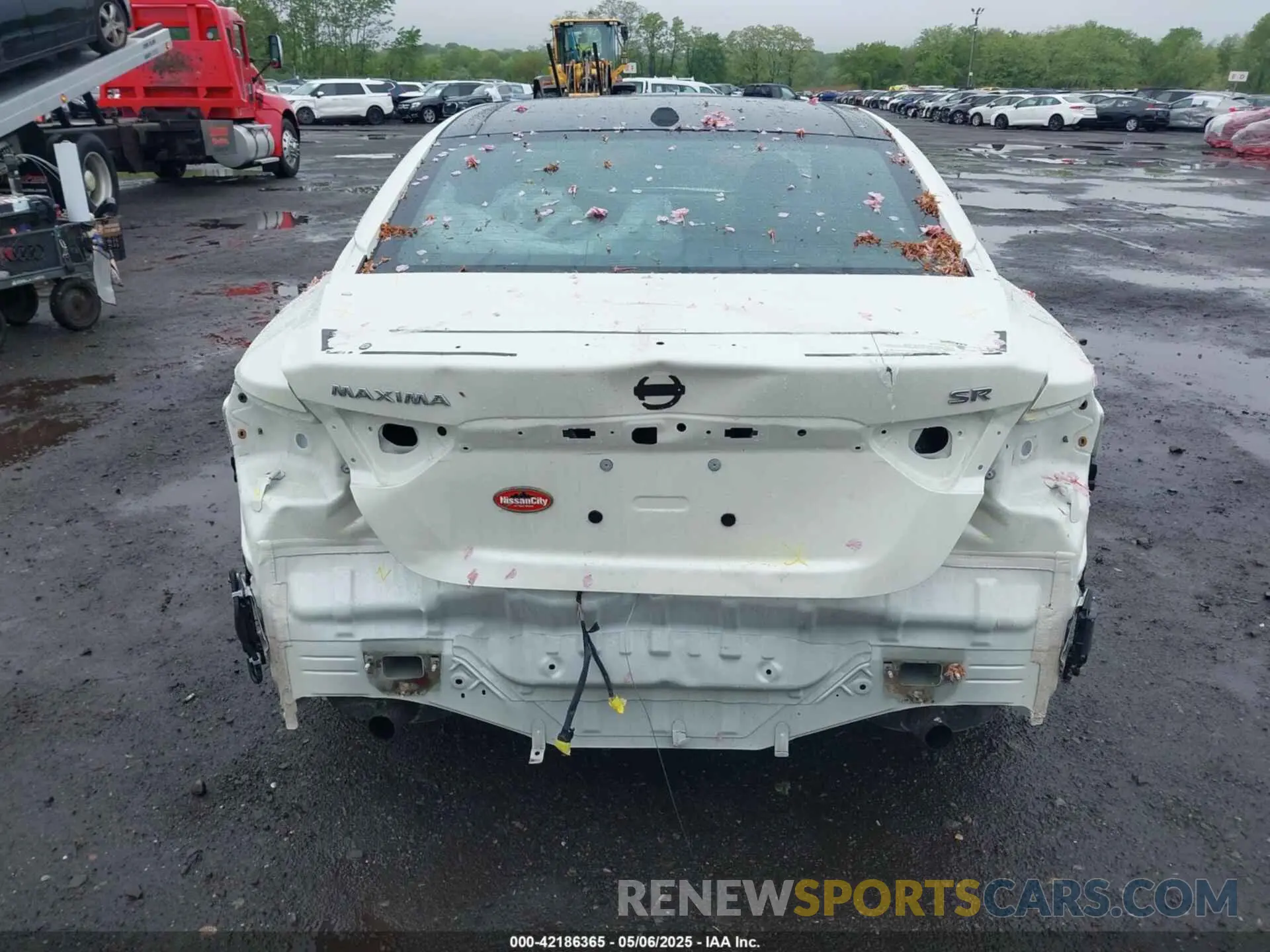 16 Photograph of a damaged car 1N4AA6EVXNC505502 NISSAN MAXIMA 2022