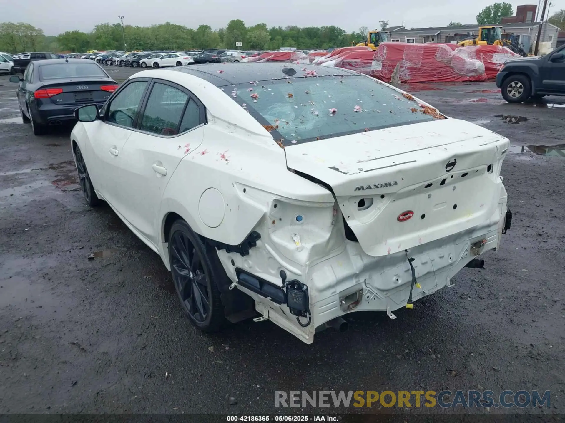 17 Photograph of a damaged car 1N4AA6EVXNC505502 NISSAN MAXIMA 2022