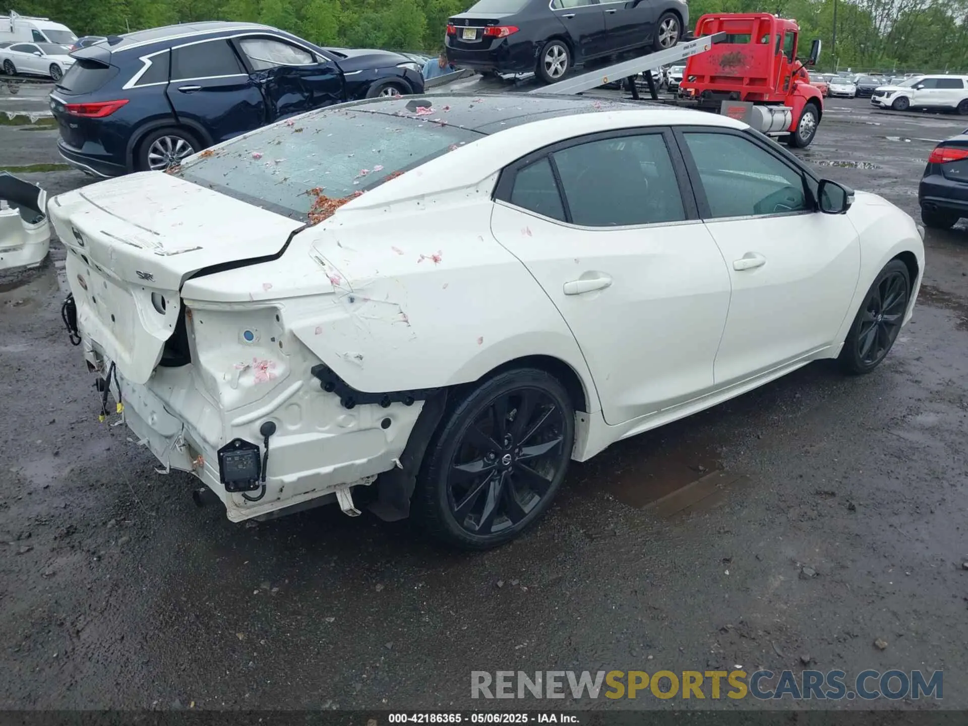 4 Photograph of a damaged car 1N4AA6EVXNC505502 NISSAN MAXIMA 2022