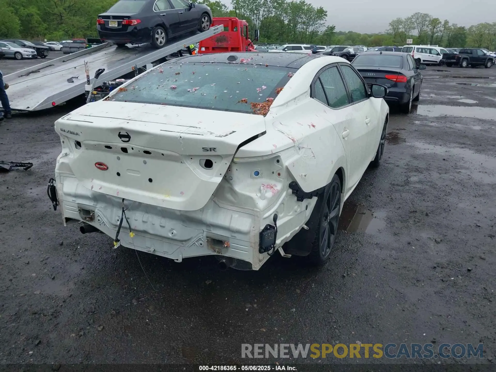 6 Photograph of a damaged car 1N4AA6EVXNC505502 NISSAN MAXIMA 2022
