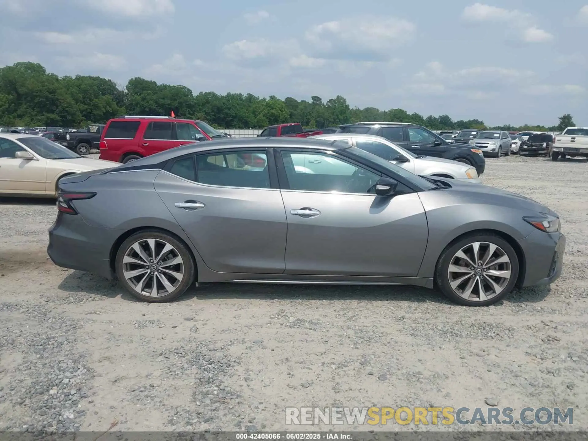 13 Photograph of a damaged car 1N4AA6FV1NC503118 NISSAN MAXIMA 2022
