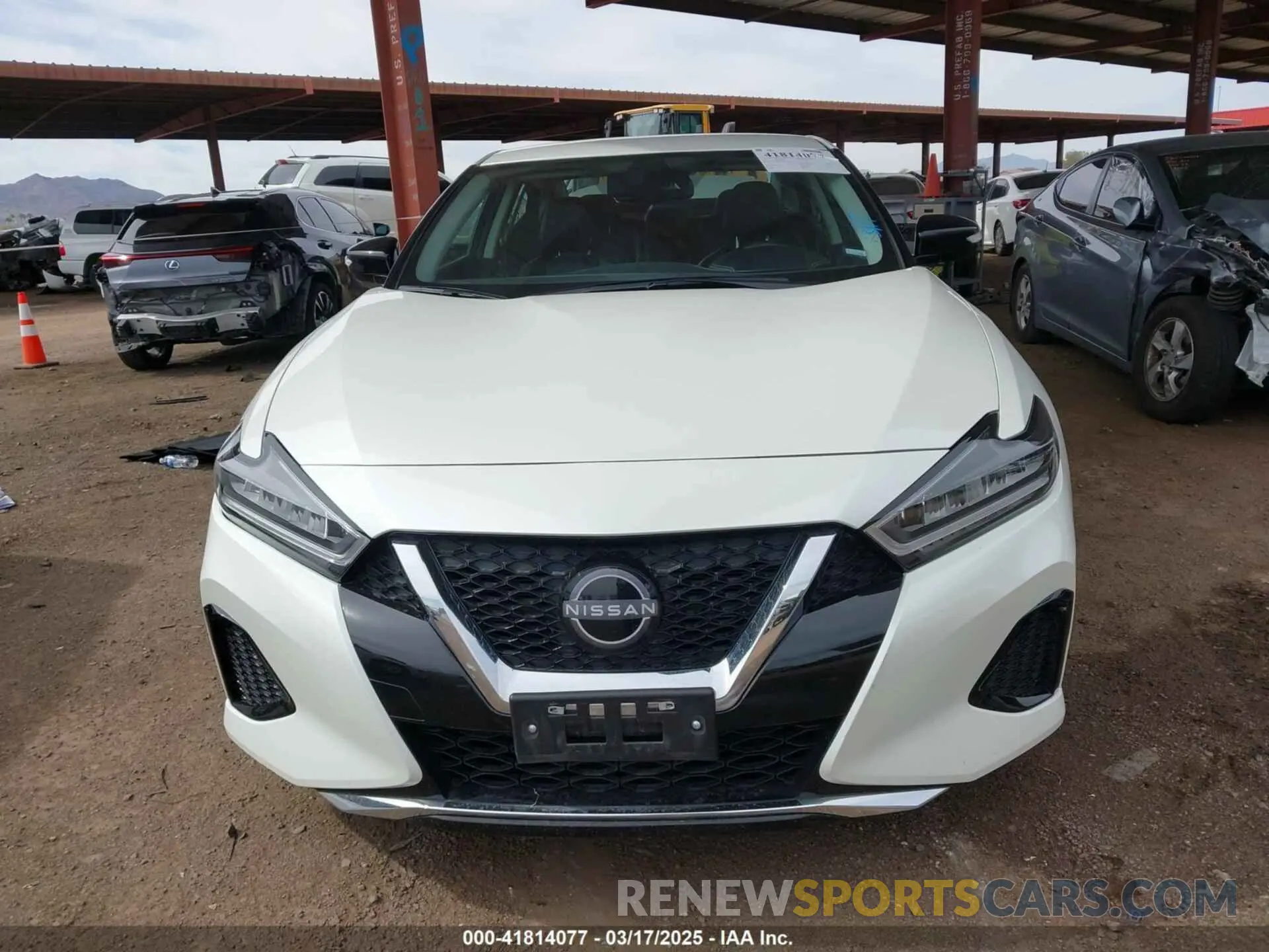 12 Фотография поврежденного автомобиля 1N4AA6CV2PC509307 NISSAN MAXIMA 2023
