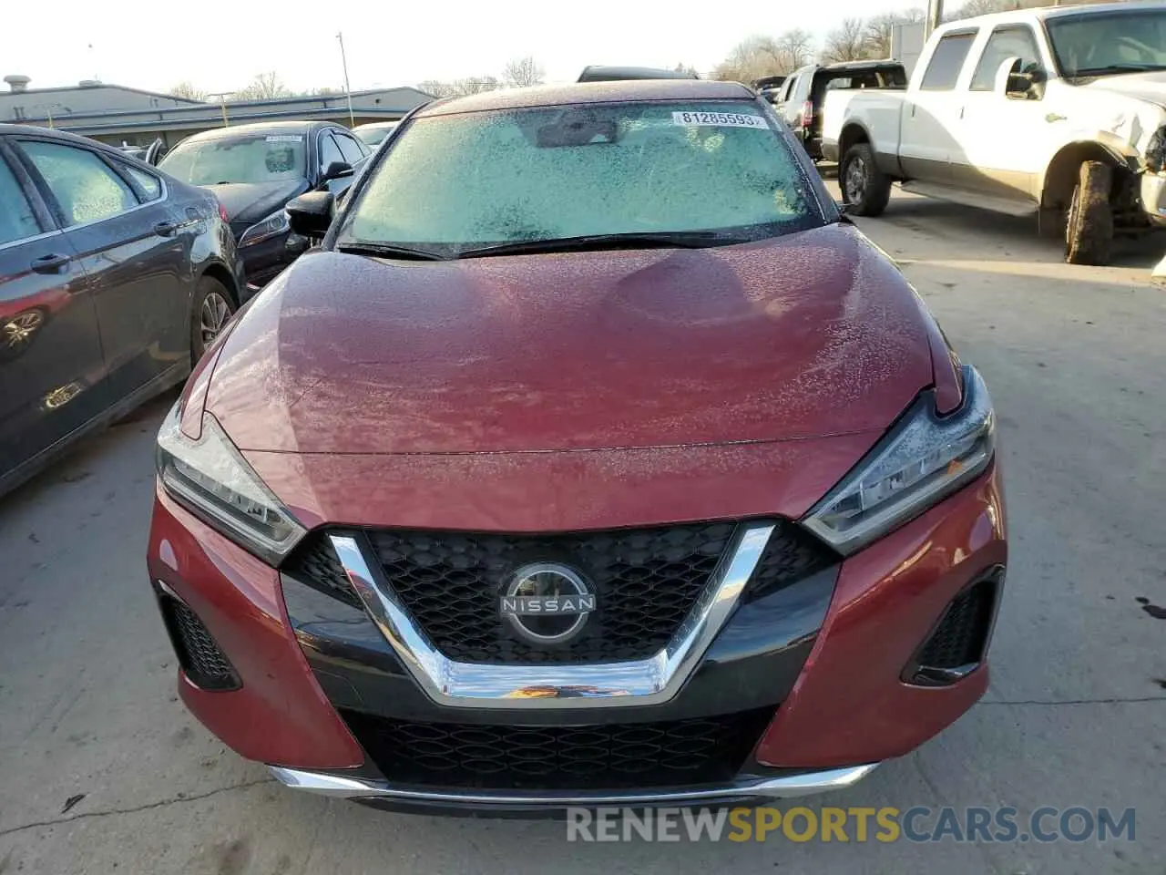 5 Photograph of a damaged car 1N4AA6CV4PC504576 NISSAN MAXIMA 2023