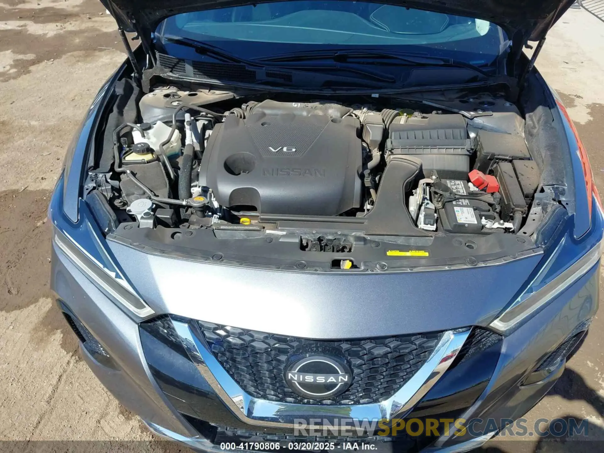 10 Фотография поврежденного автомобиля 1N4AA6CV4PC513780 NISSAN MAXIMA 2023