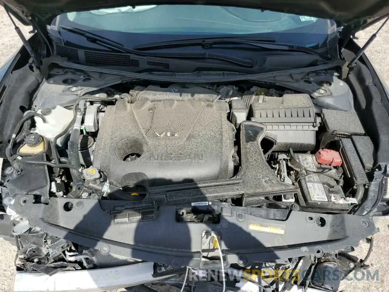 11 Фотография поврежденного автомобиля 1N4AA6CV5PC511116 NISSAN MAXIMA 2023