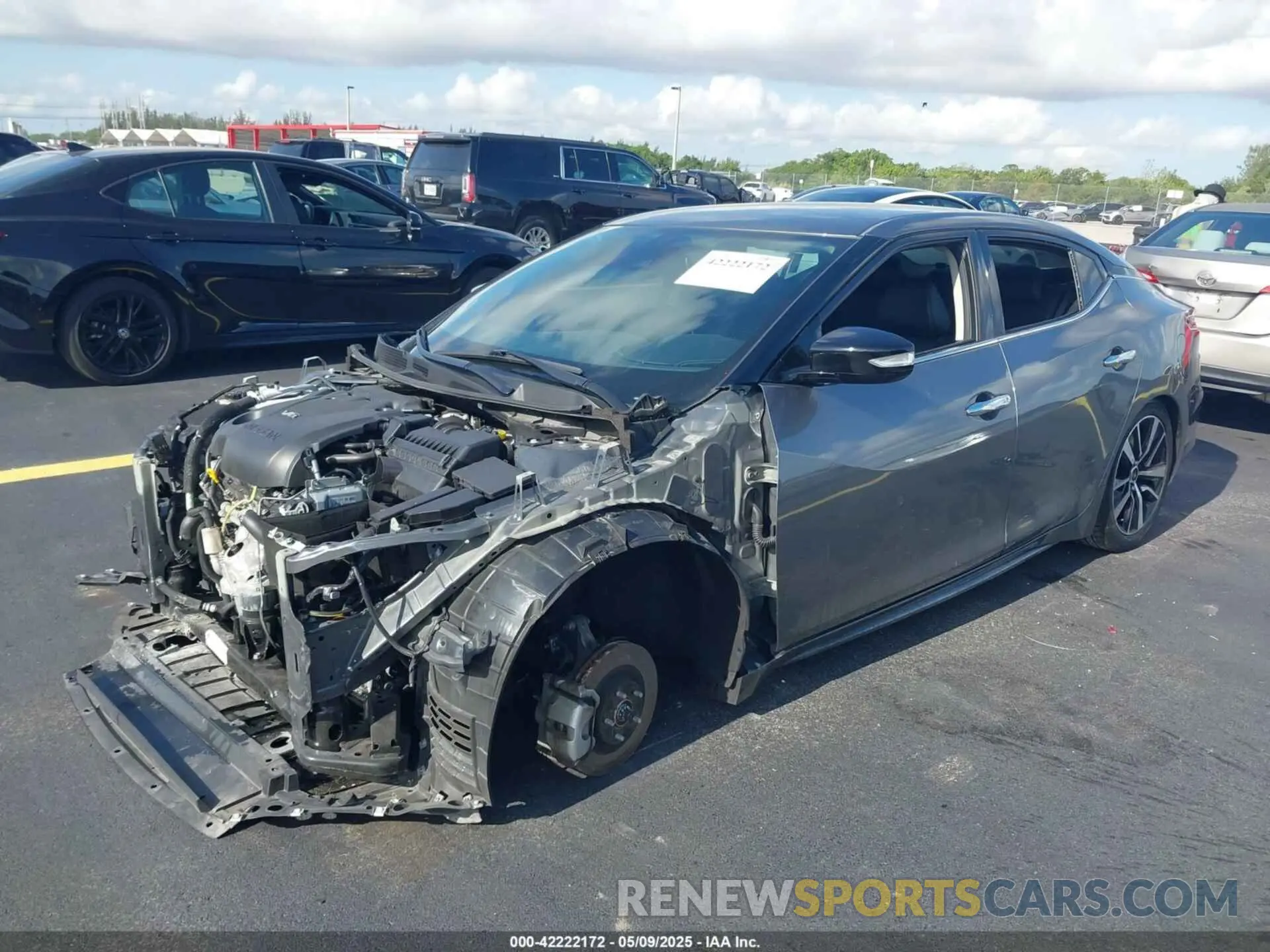 2 Photograph of a damaged car 1N4AA6CV7PC508718 NISSAN MAXIMA 2023