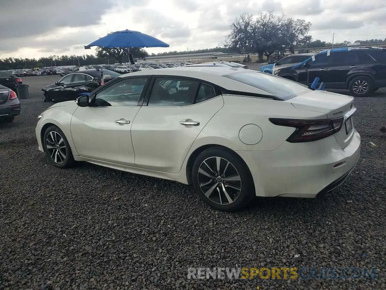 2 Фотография поврежденного автомобиля 1N4AA6CV8PC511191 NISSAN MAXIMA 2023