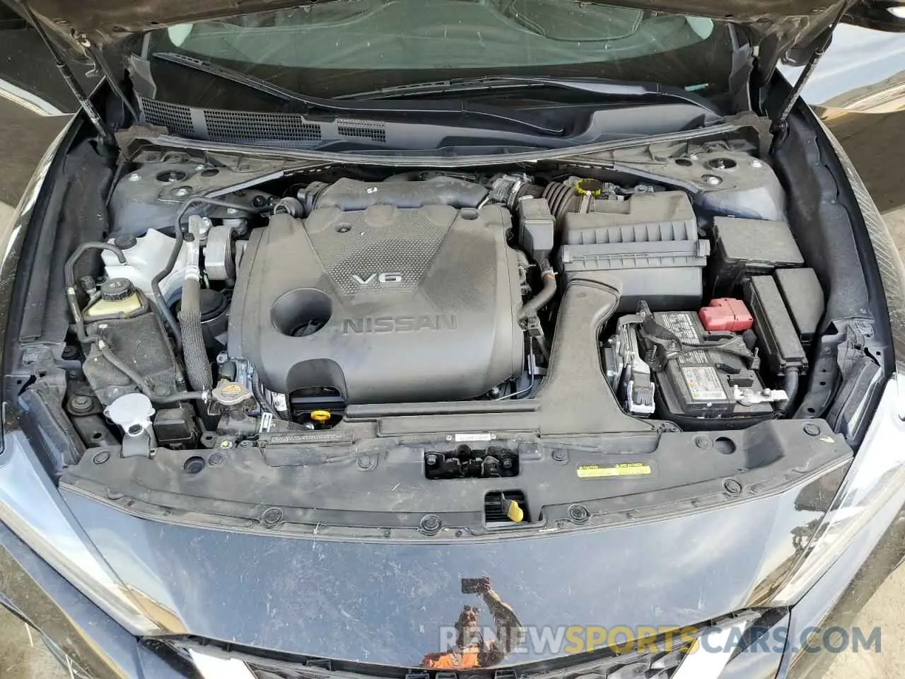 11 Photograph of a damaged car 1N4AA6CVXPC511712 NISSAN MAXIMA 2023