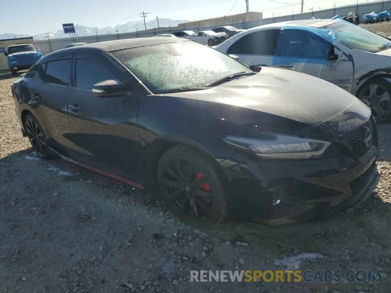 4 Photograph of a damaged car 1N4AA6EV1PC502720 NISSAN MAXIMA 2023