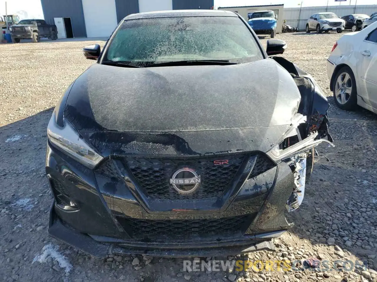 5 Photograph of a damaged car 1N4AA6EV1PC502720 NISSAN MAXIMA 2023