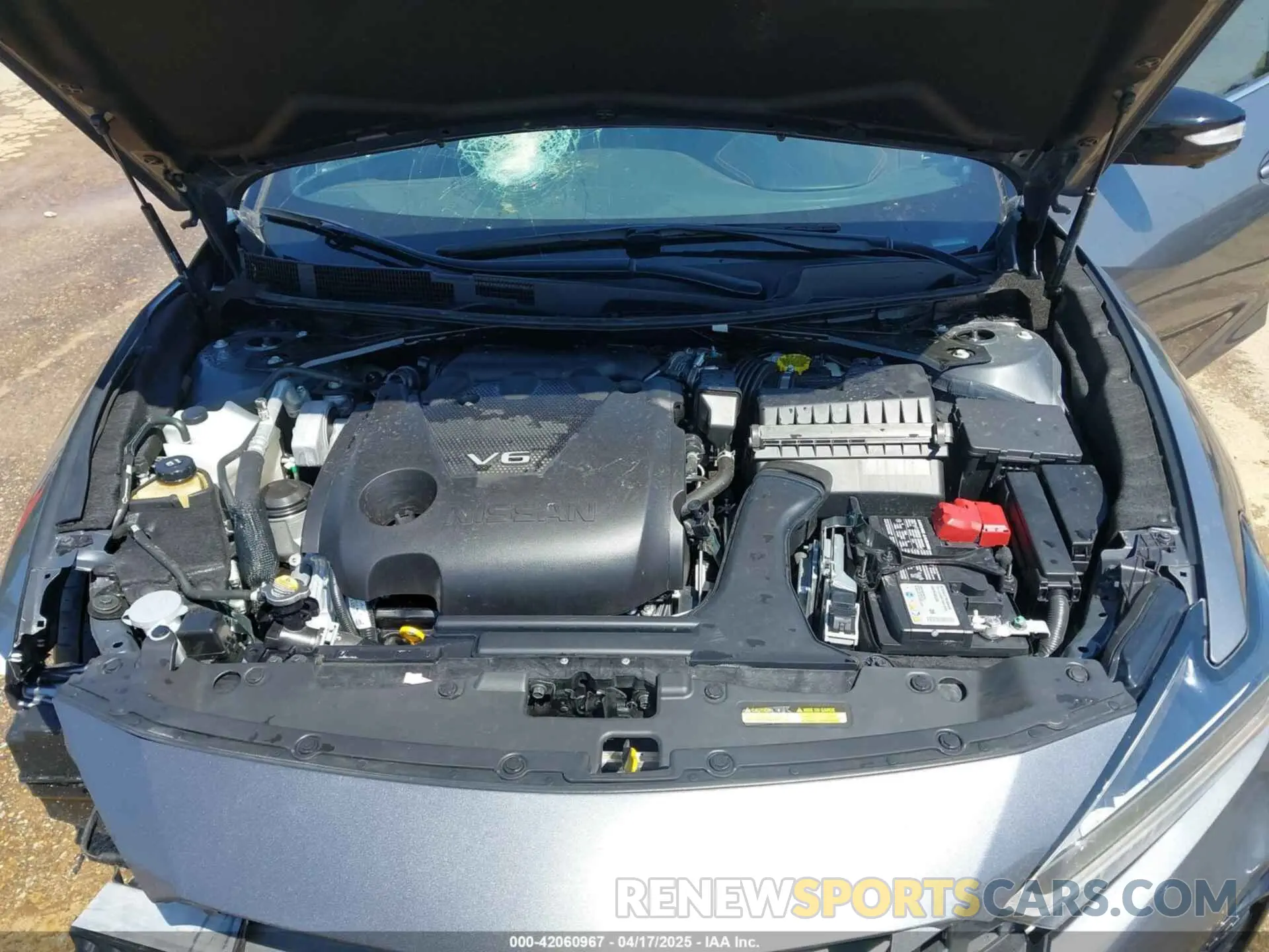10 Фотография поврежденного автомобиля 1N4AA6EV1PC507934 NISSAN MAXIMA 2023