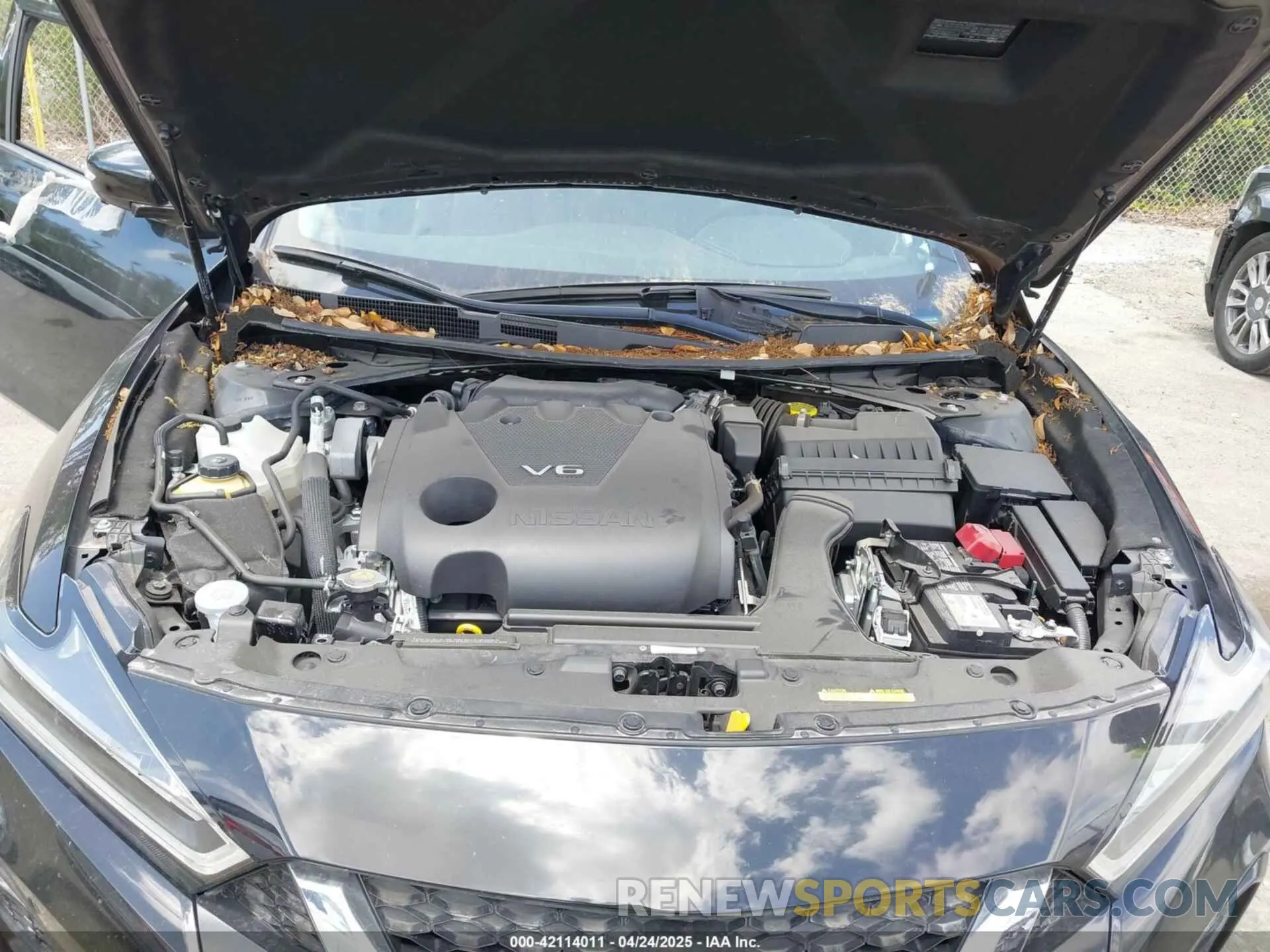 10 Photograph of a damaged car 1N4AA6FV0PC502349 NISSAN MAXIMA 2023