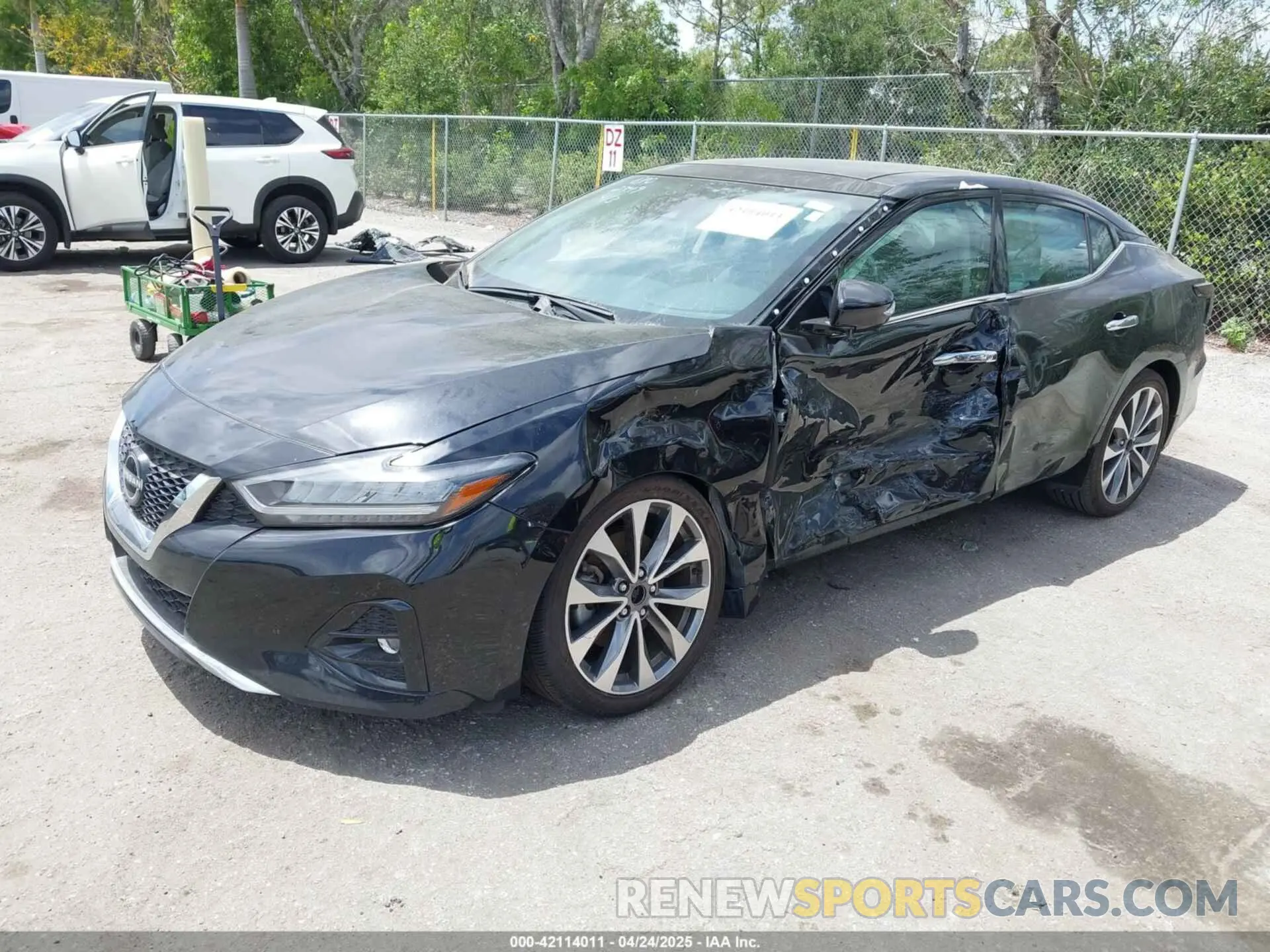 2 Photograph of a damaged car 1N4AA6FV0PC502349 NISSAN MAXIMA 2023