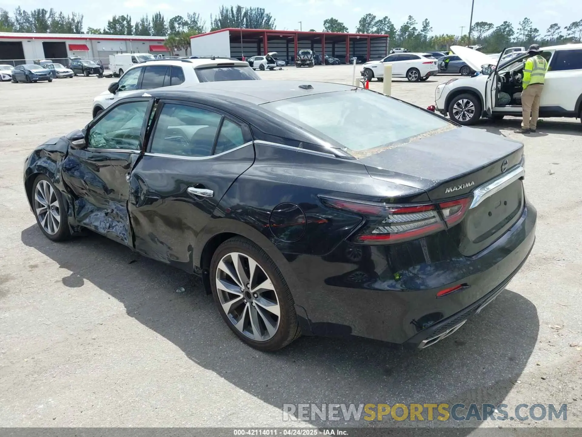3 Photograph of a damaged car 1N4AA6FV0PC502349 NISSAN MAXIMA 2023