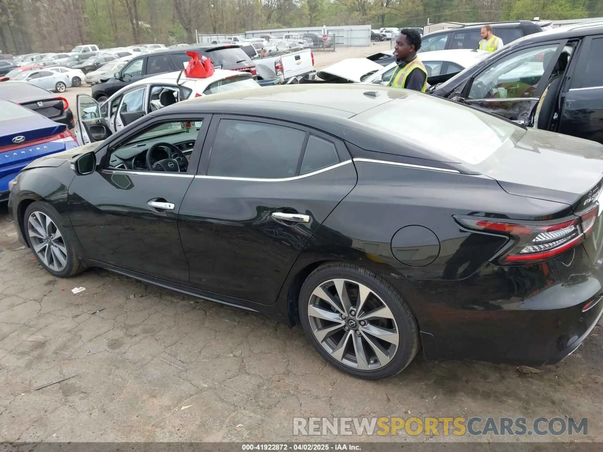 14 Photograph of a damaged car 1N4AA6FV0PC509933 NISSAN MAXIMA 2023