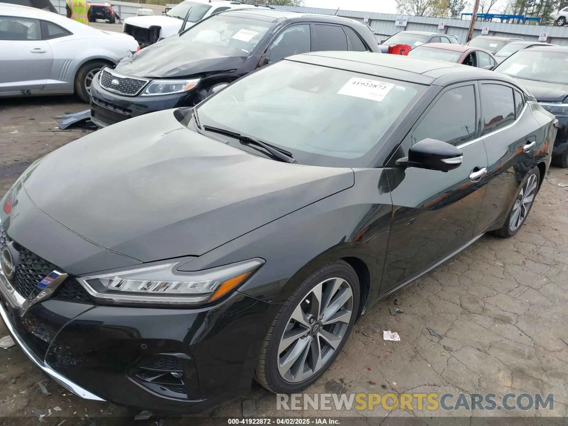 2 Photograph of a damaged car 1N4AA6FV0PC509933 NISSAN MAXIMA 2023