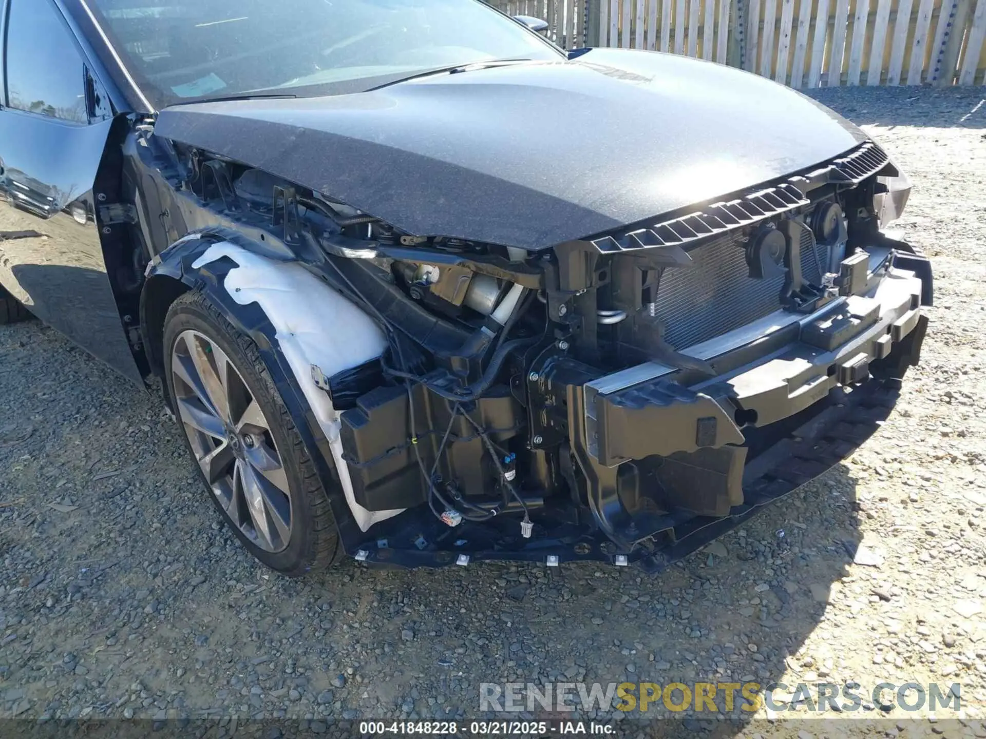 6 Фотография поврежденного автомобиля 1N4AA6FV4PC504993 NISSAN MAXIMA 2023