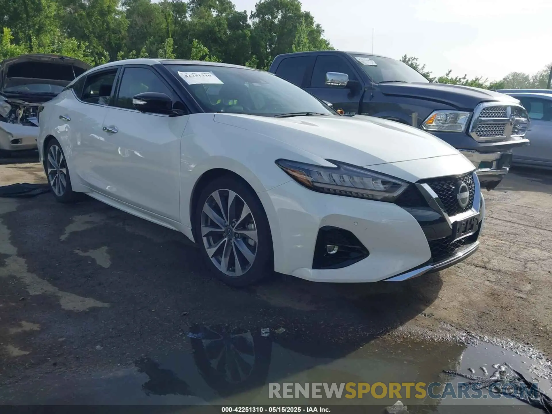 1 Фотография поврежденного автомобиля 1N4AA6FV5PC503013 NISSAN MAXIMA 2023