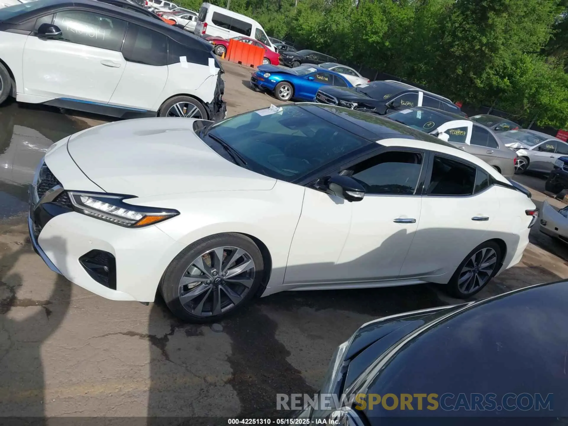 14 Фотография поврежденного автомобиля 1N4AA6FV5PC503013 NISSAN MAXIMA 2023