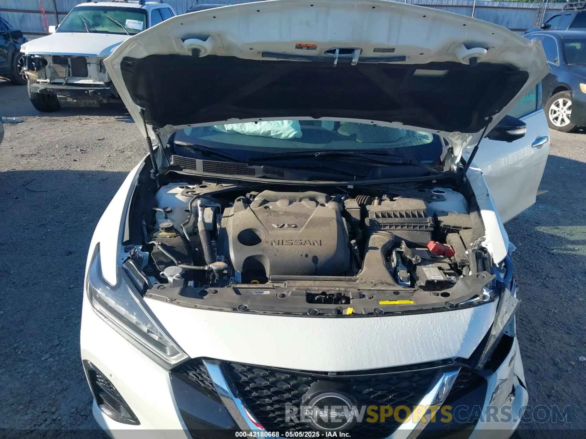 10 Фотография поврежденного автомобиля 1N4AA6FV5PC507501 NISSAN MAXIMA 2023