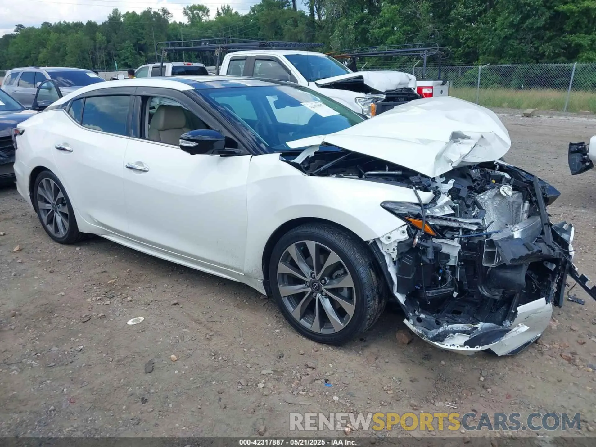 1 Photograph of a damaged car 1N4AA6FV5PC512973 NISSAN MAXIMA 2023