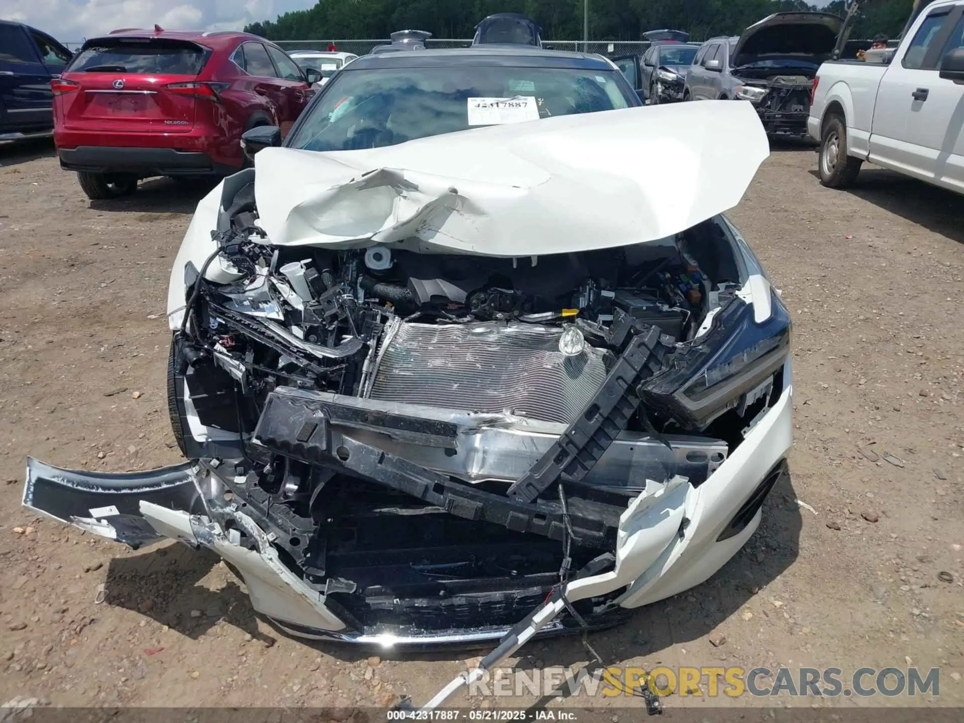 12 Photograph of a damaged car 1N4AA6FV5PC512973 NISSAN MAXIMA 2023