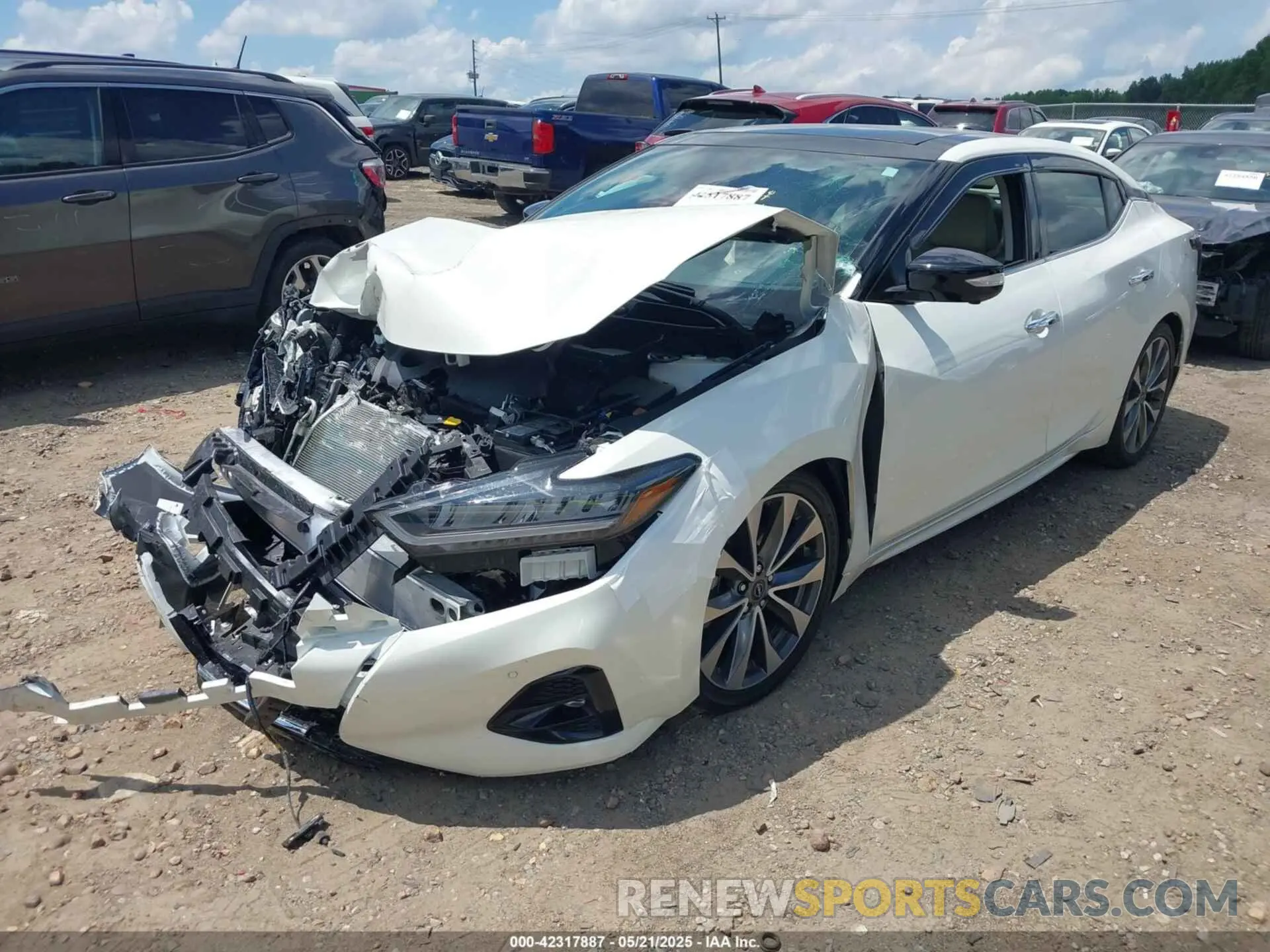 2 Photograph of a damaged car 1N4AA6FV5PC512973 NISSAN MAXIMA 2023