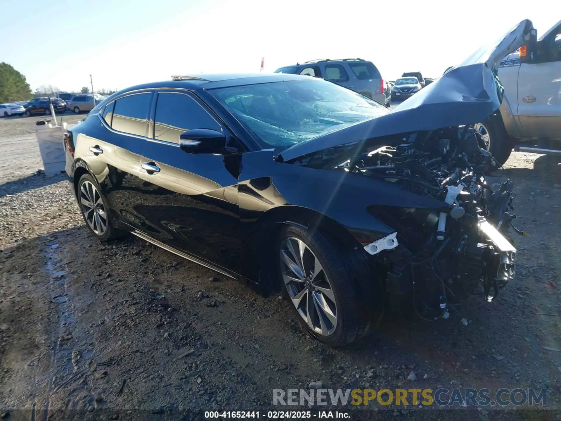 1 Фотография поврежденного автомобиля 1N4AA6FV9PC513365 NISSAN MAXIMA 2023