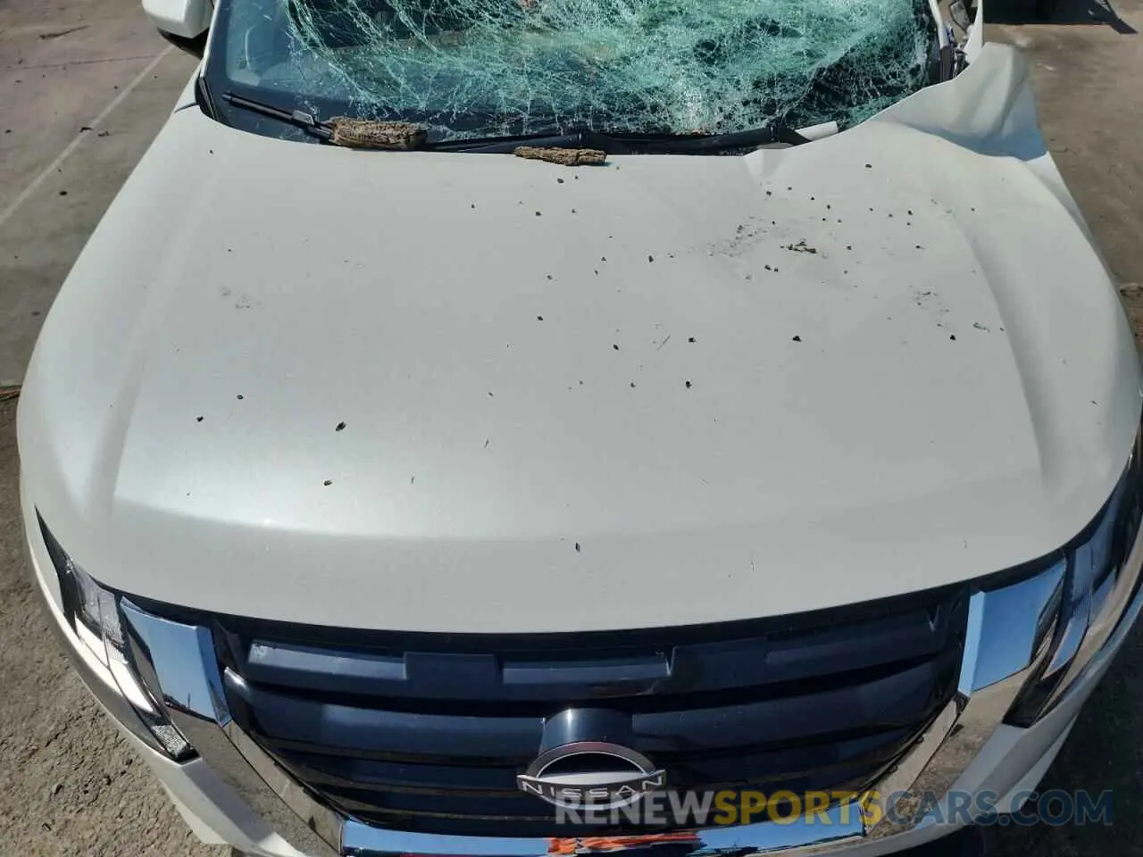 12 Photograph of a damaged car 5N1DR3DK1PC223933 NISSAN PATHFINDER 2023