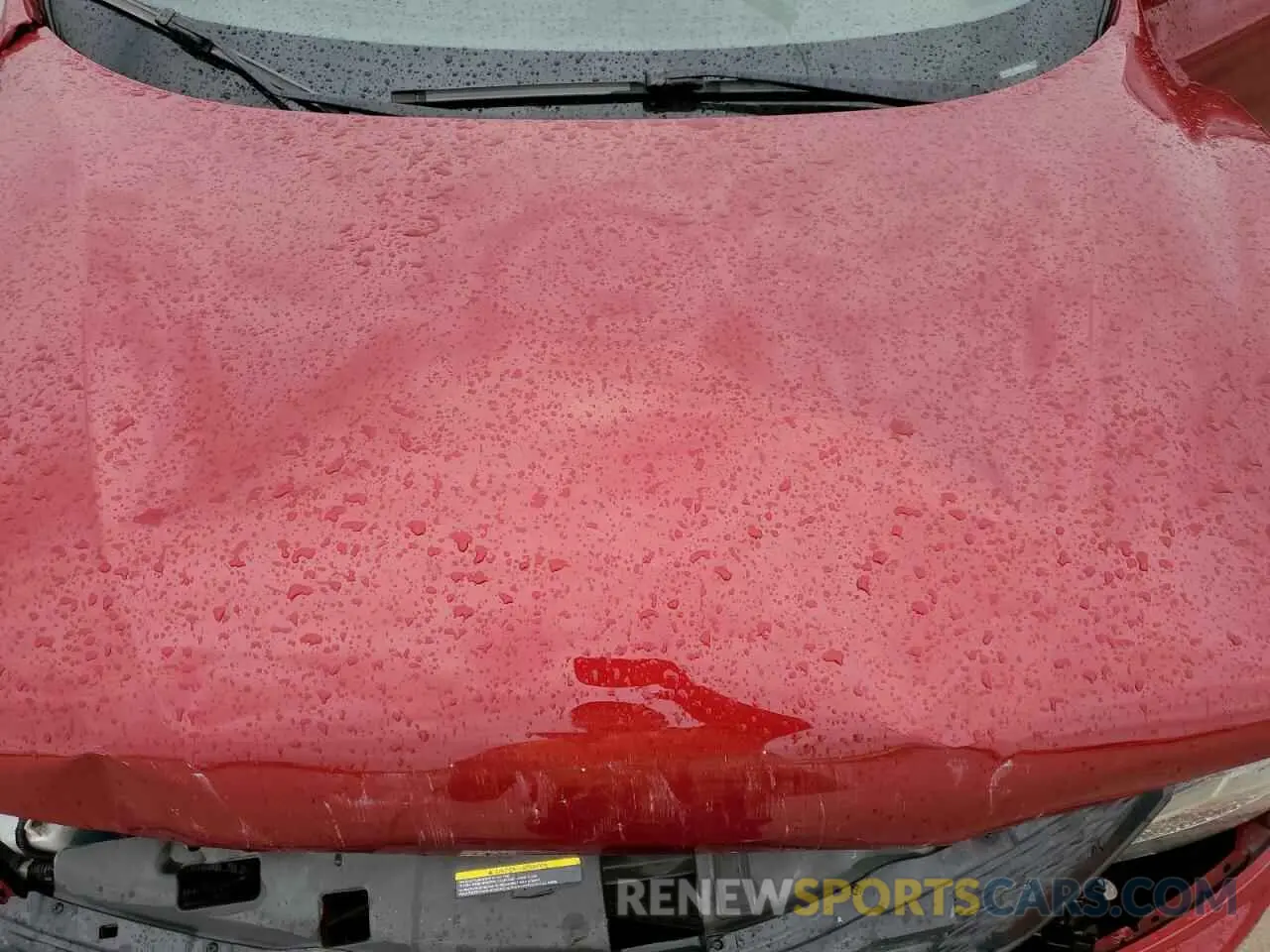 13 Photograph of a damaged car JN1BJ1CP0KW217944 NISSAN ROGUE 2019