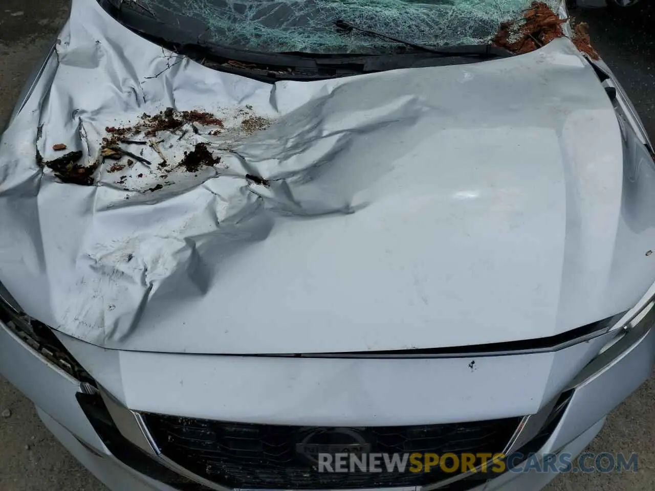 11 Photograph of a damaged car 3N1AB8CV2MY310699 NISSAN SENTRA 2021