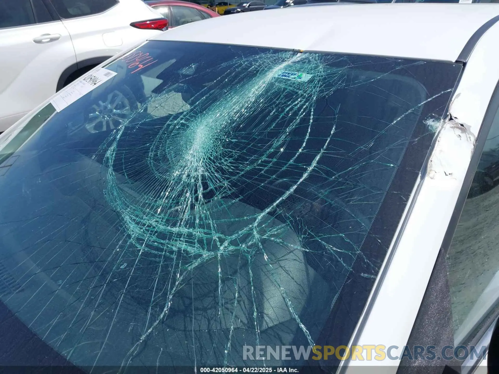 19 Photograph of a damaged car 3N1AB8CV0NY221411 NISSAN SENTRA 2022