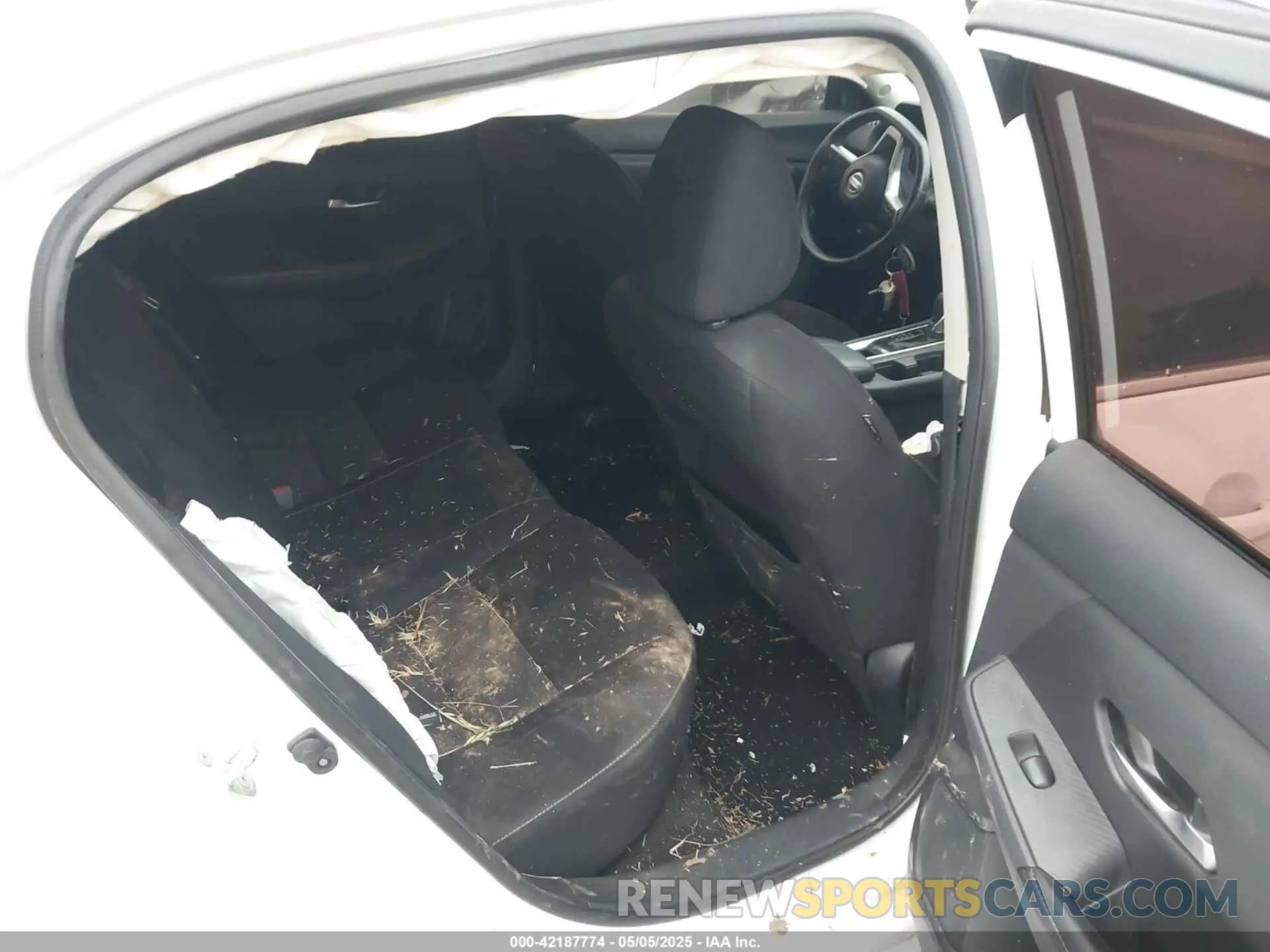 8 Photograph of a damaged car 3N1AB8CV0NY233123 NISSAN SENTRA 2022