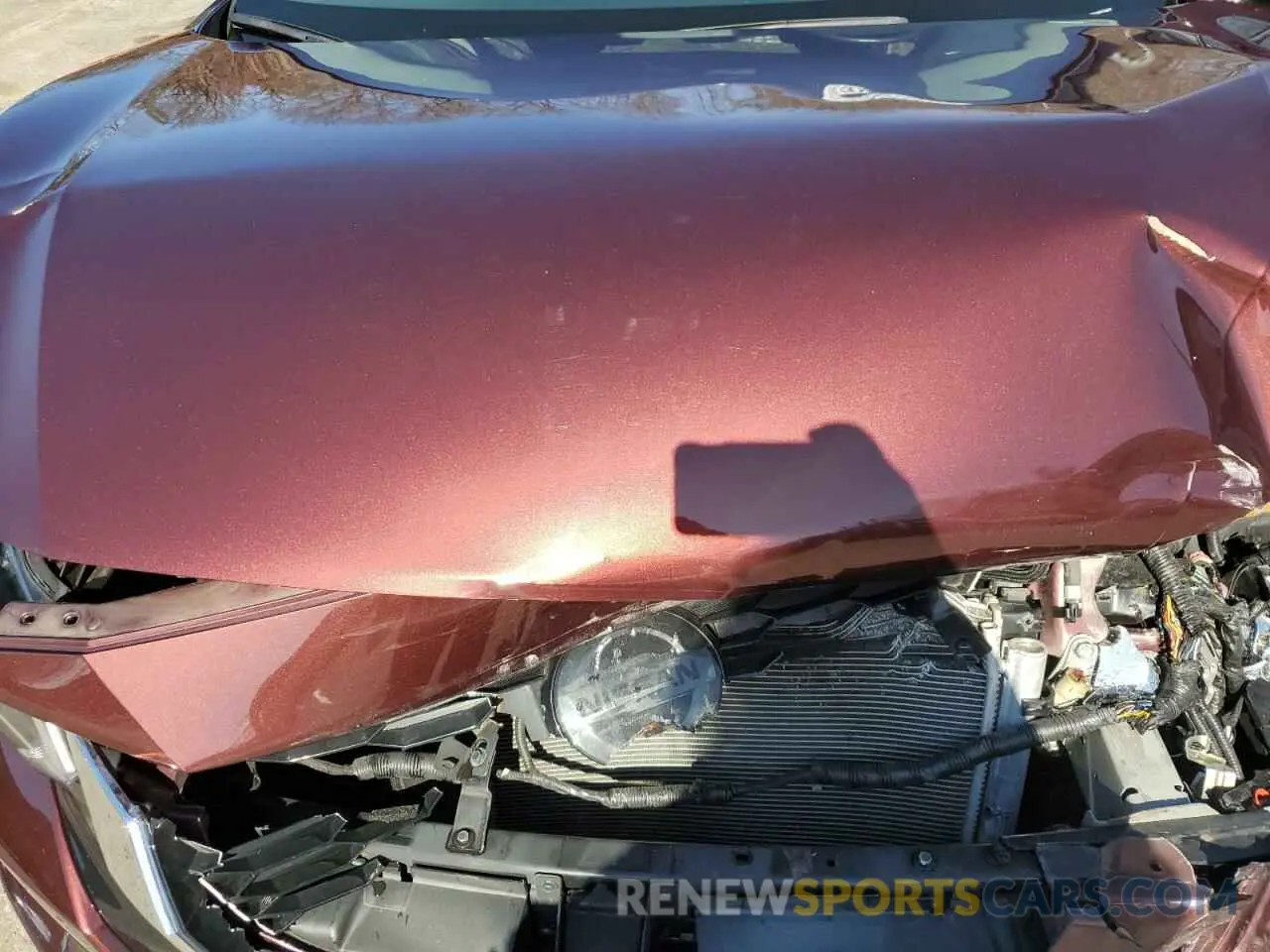 11 Photograph of a damaged car 3N1AB8CV4NY218429 NISSAN SENTRA 2022