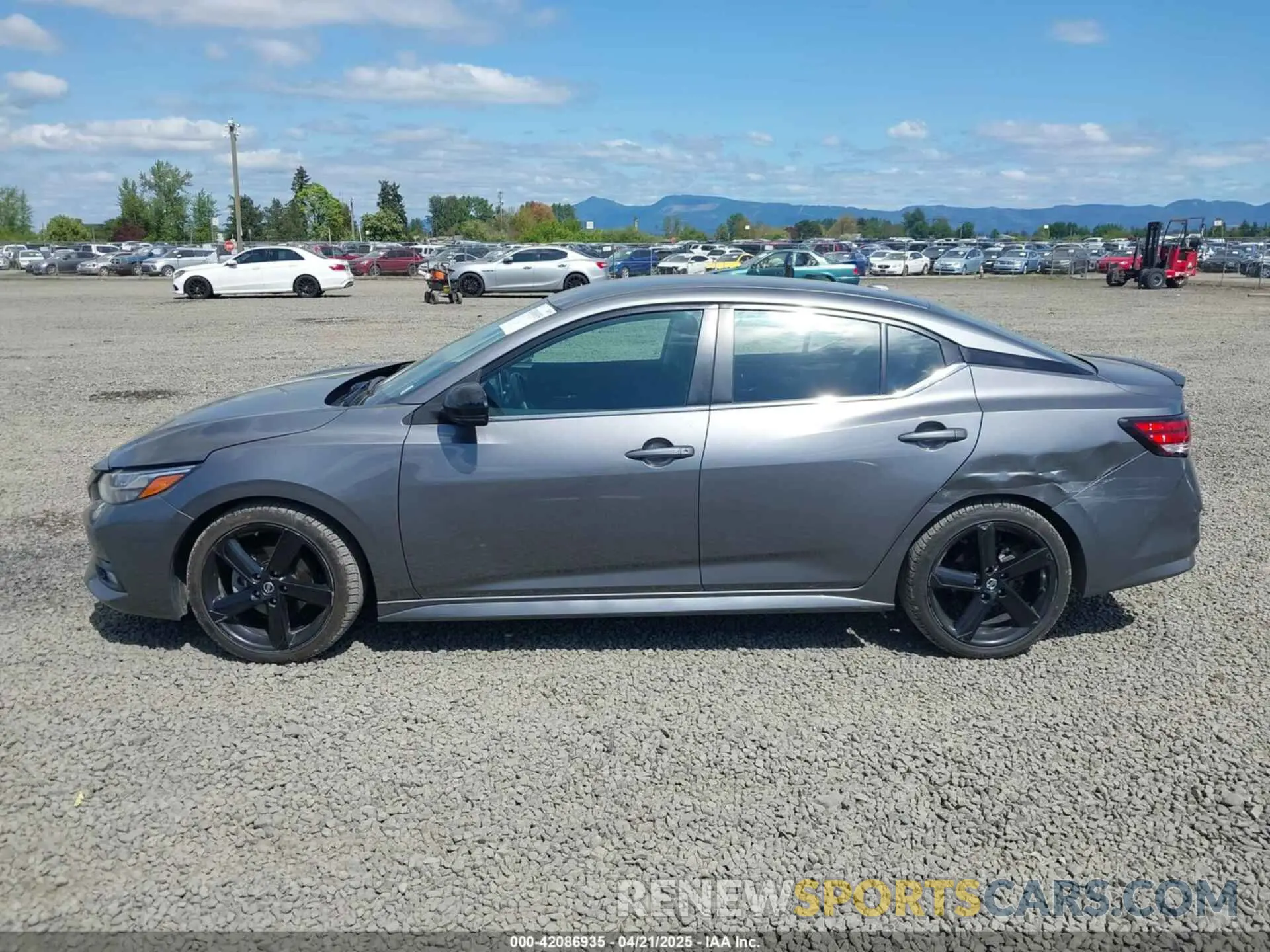 14 Photograph of a damaged car 3N1AB8DV0NY319000 NISSAN SENTRA 2022