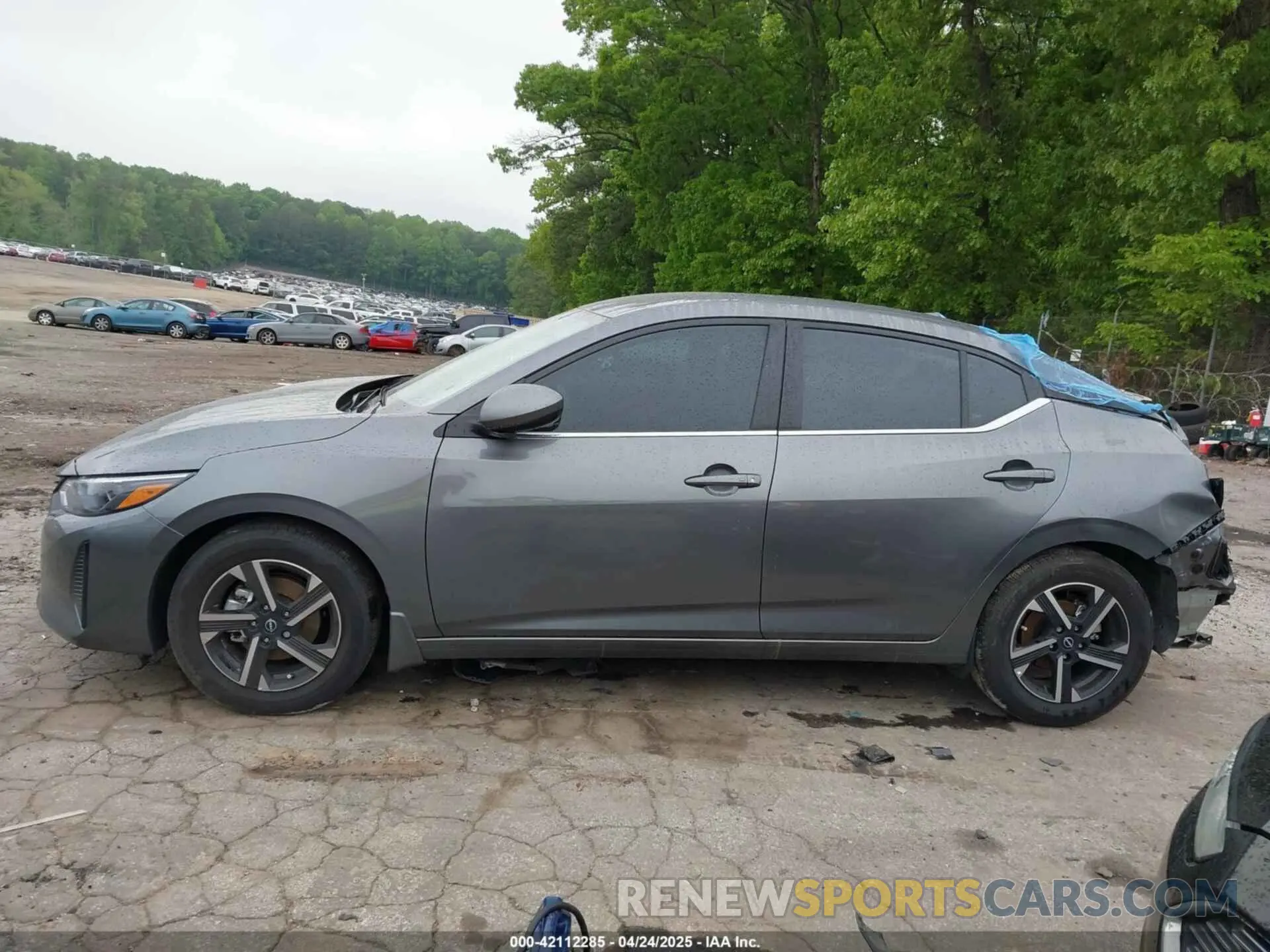 14 Фотография поврежденного автомобиля 3N1AB8CV0SY262701 NISSAN SENTRA 2025