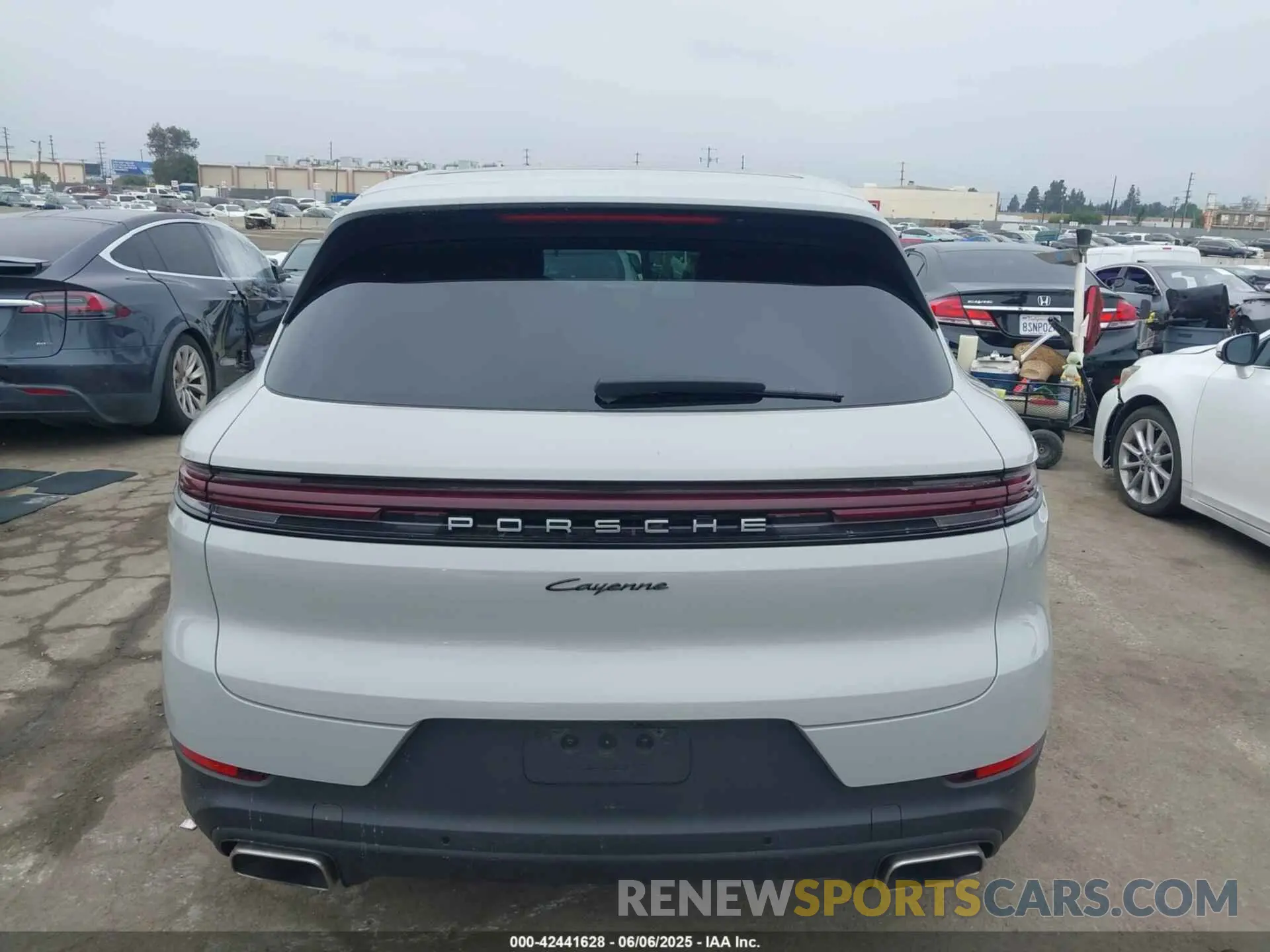 17 Photograph of a damaged car WP1AA2AY0RDA14504 PORSCHE CAYENNE 2024