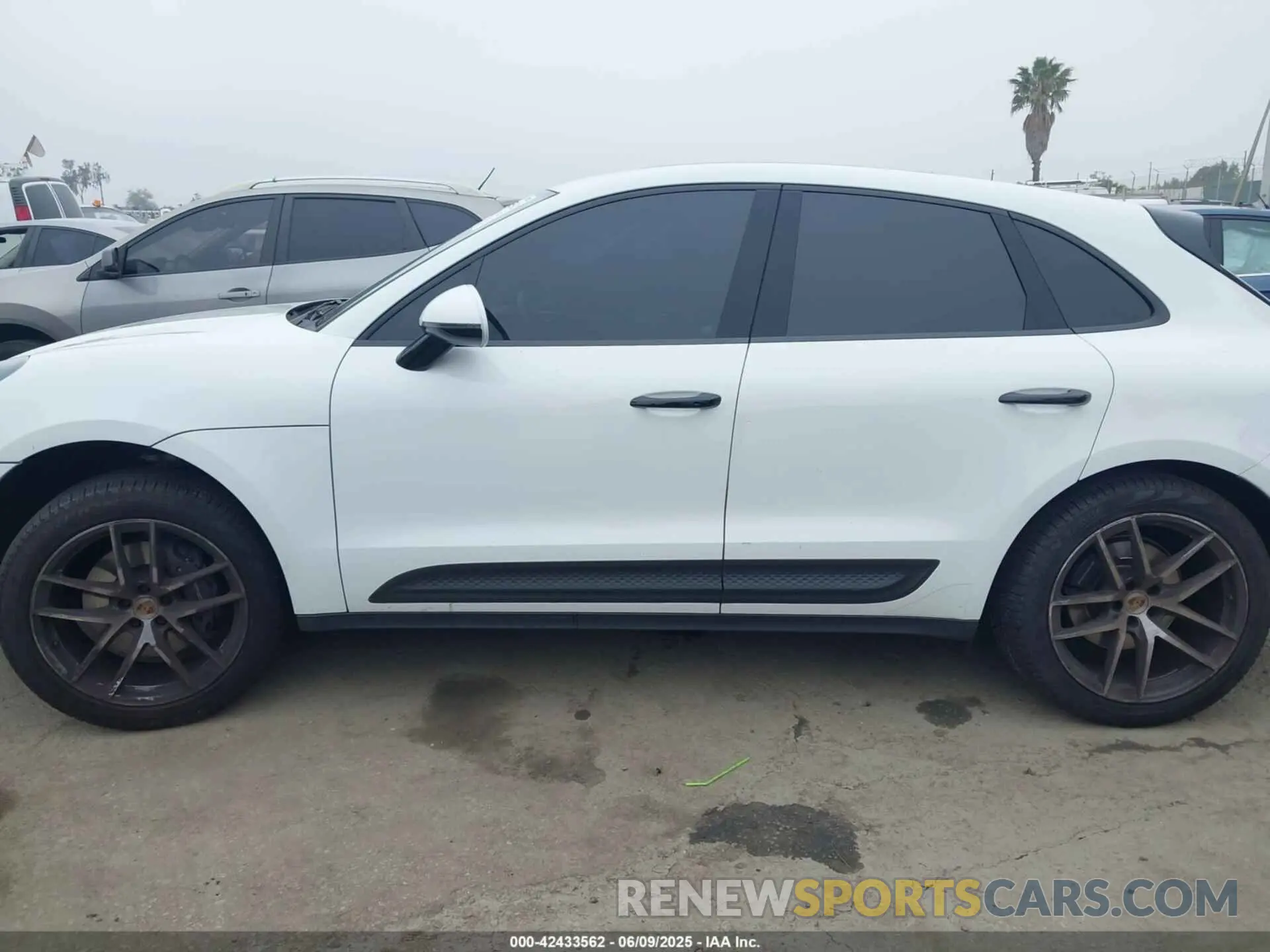 14 Photograph of a damaged car WP1AA2A58NLB06272 PORSCHE MACAN 2022