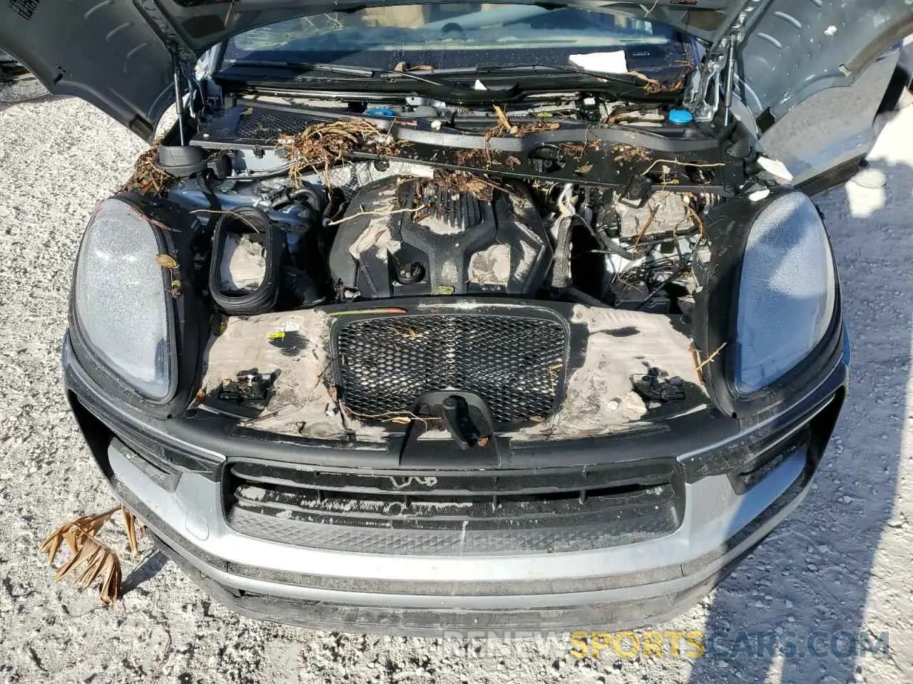 11 Photograph of a damaged car WP1AA2A5XNLB04636 PORSCHE MACAN 2022
