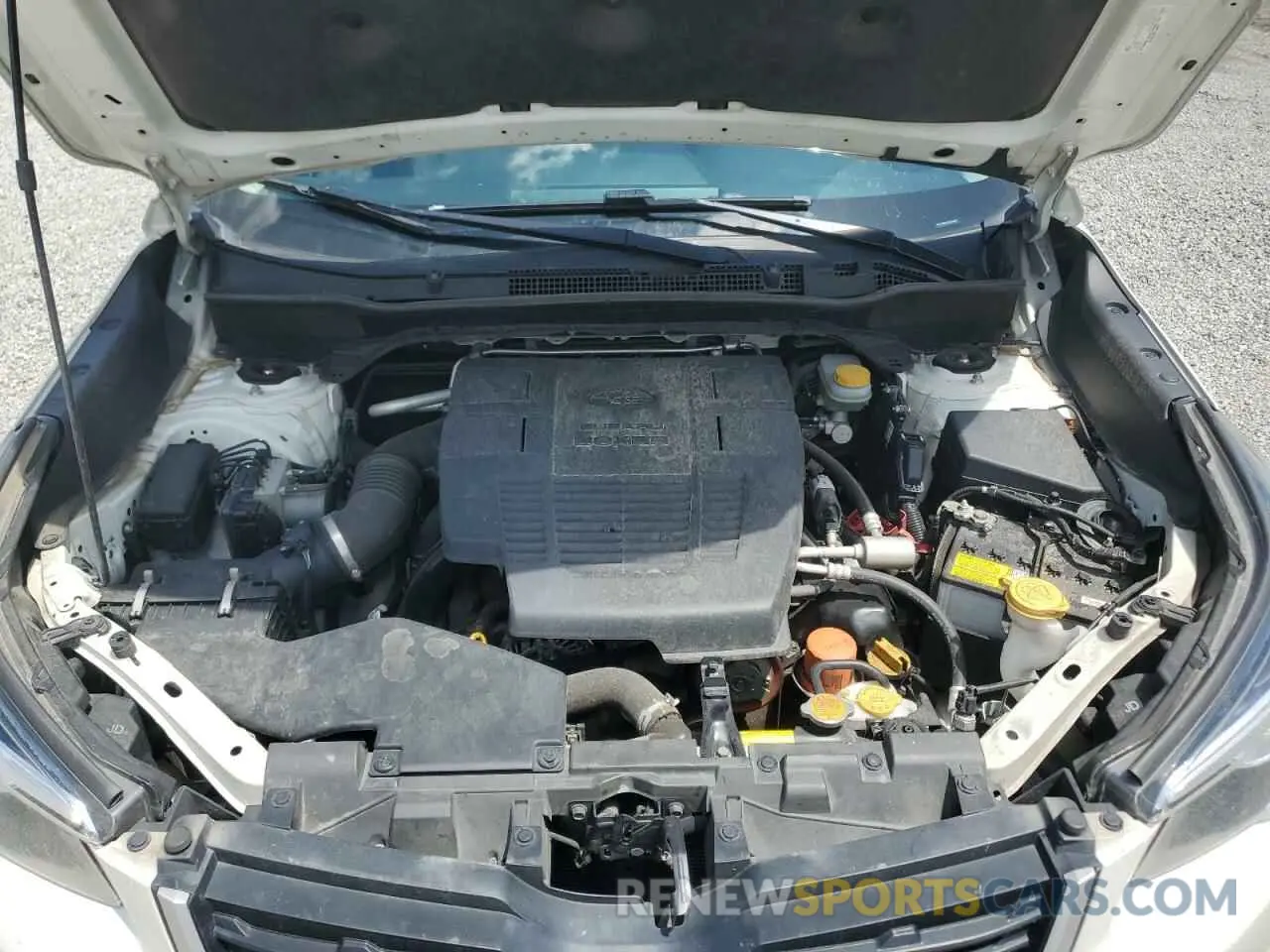 12 Photograph of a damaged car JF2SKAAC2KH536035 SUBARU FORESTER 2019