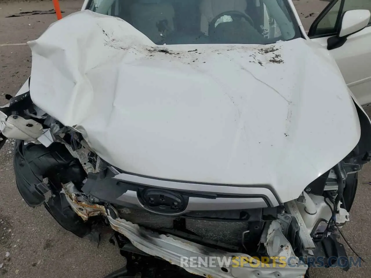 12 Photograph of a damaged car JF2SKAEC0KH460065 SUBARU FORESTER 2019