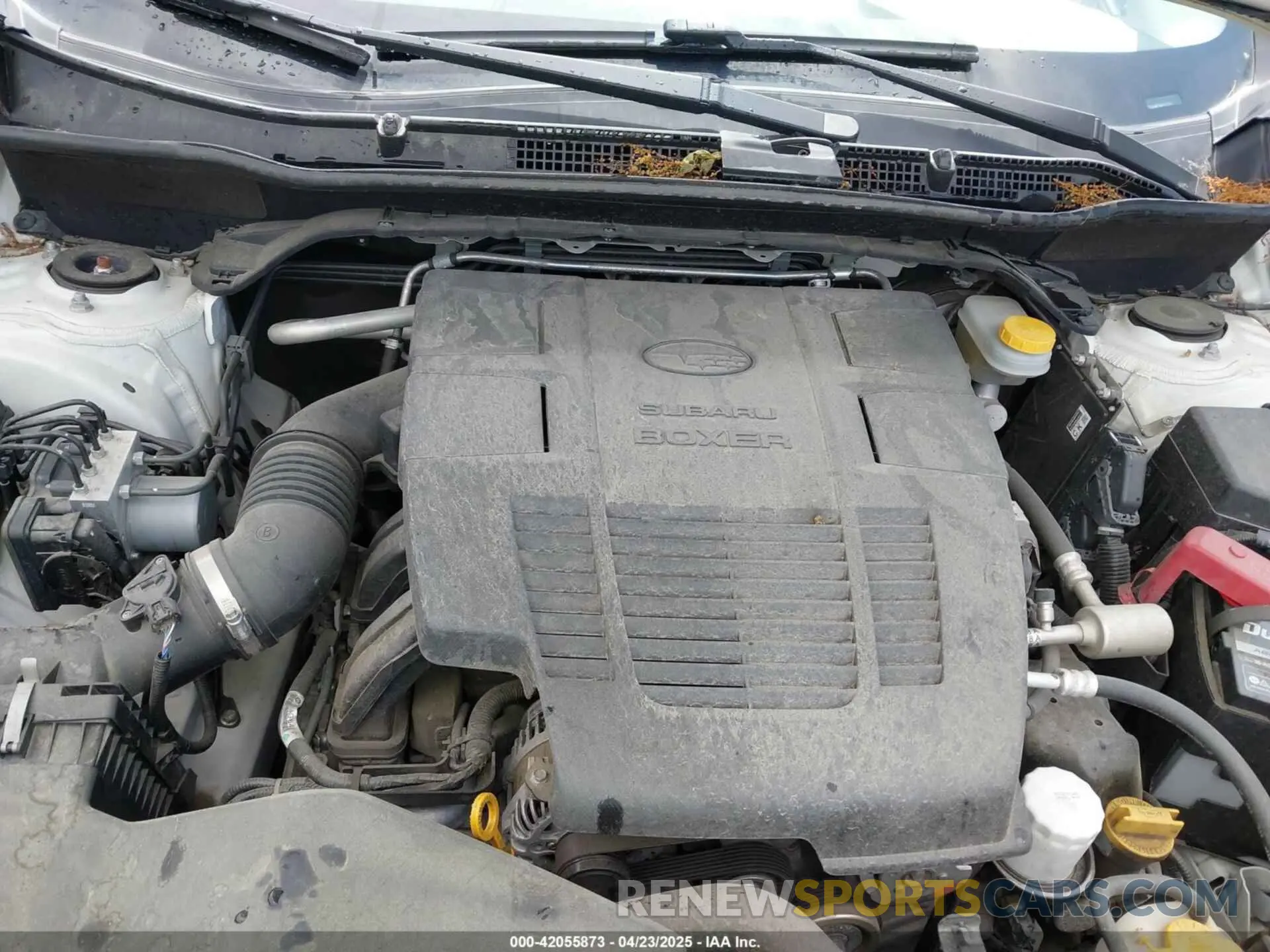 10 Photograph of a damaged car JF2SKAWC5KH515379 SUBARU FORESTER 2019