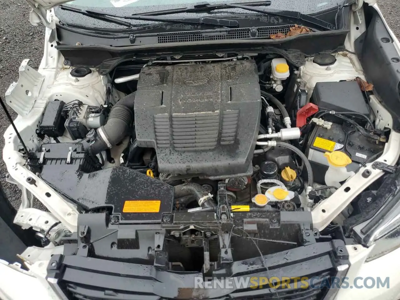 11 Фотография поврежденного автомобиля JF2SKAJC3MH591130 SUBARU FORESTER 2021