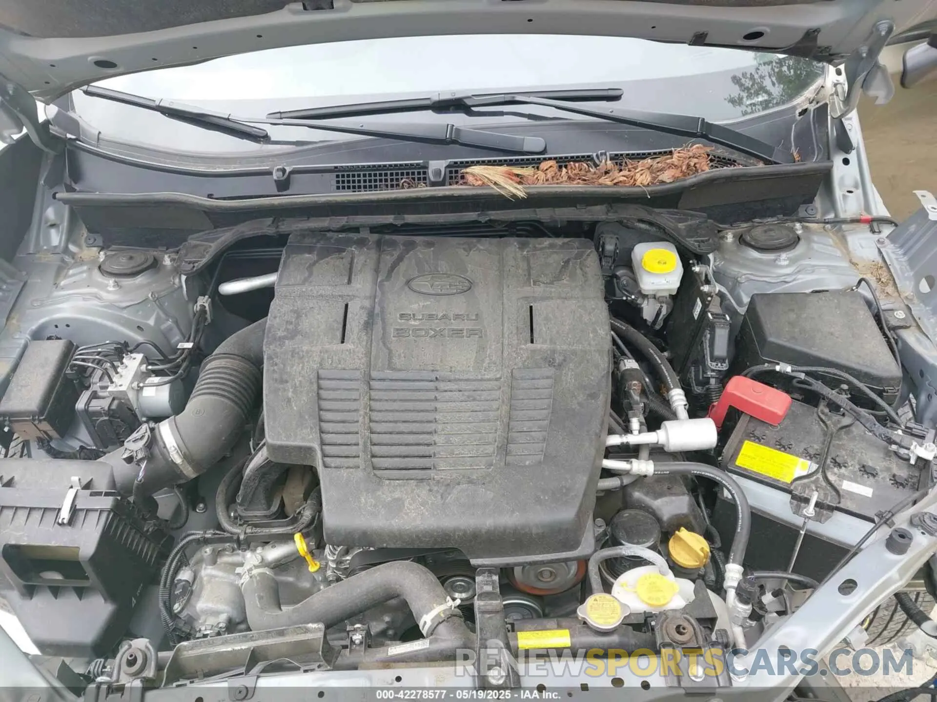 10 Фотография поврежденного автомобиля JF2SKADC7PH425516 SUBARU FORESTER 2023