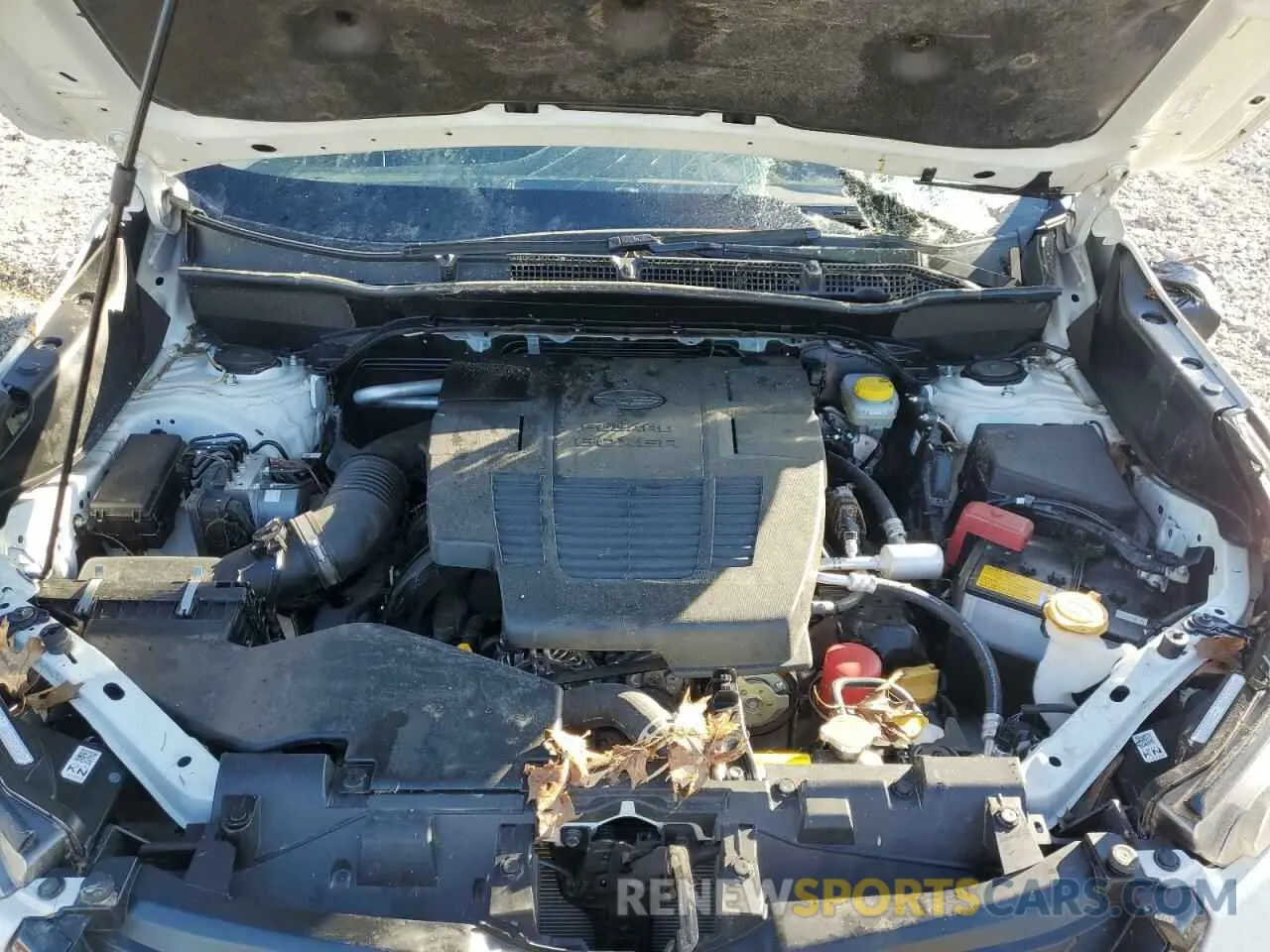 13 Photograph of a damaged car JF2SKAMC1RH502609 SUBARU FORESTER 2024