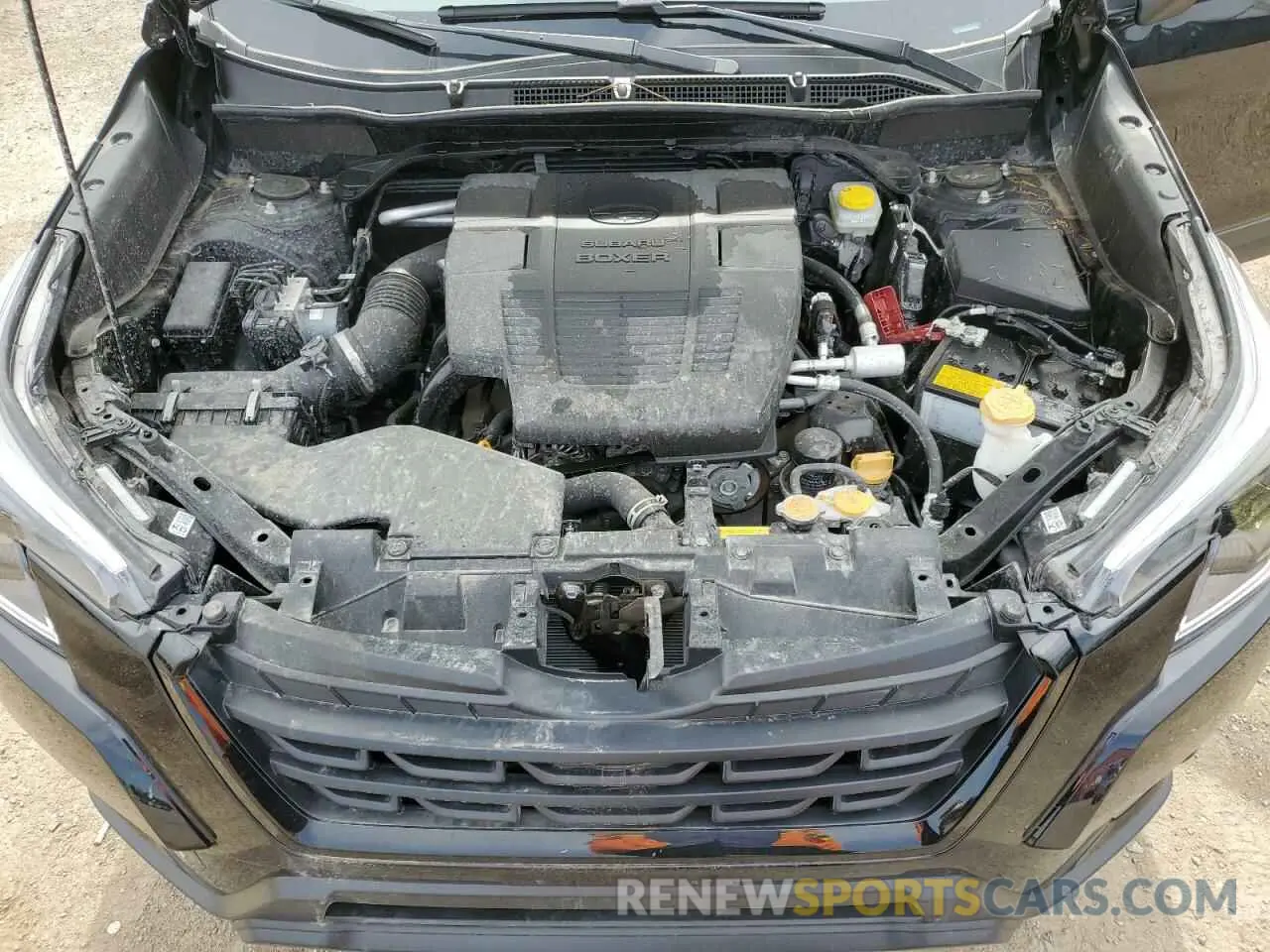 12 Фотография поврежденного автомобиля JF2SKEDC1RH458828 SUBARU FORESTER 2024