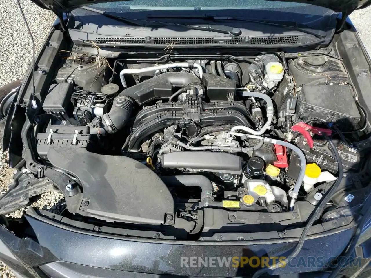 12 Photograph of a damaged car 4S4BTANC2P3191255 SUBARU OUTBACK 2023