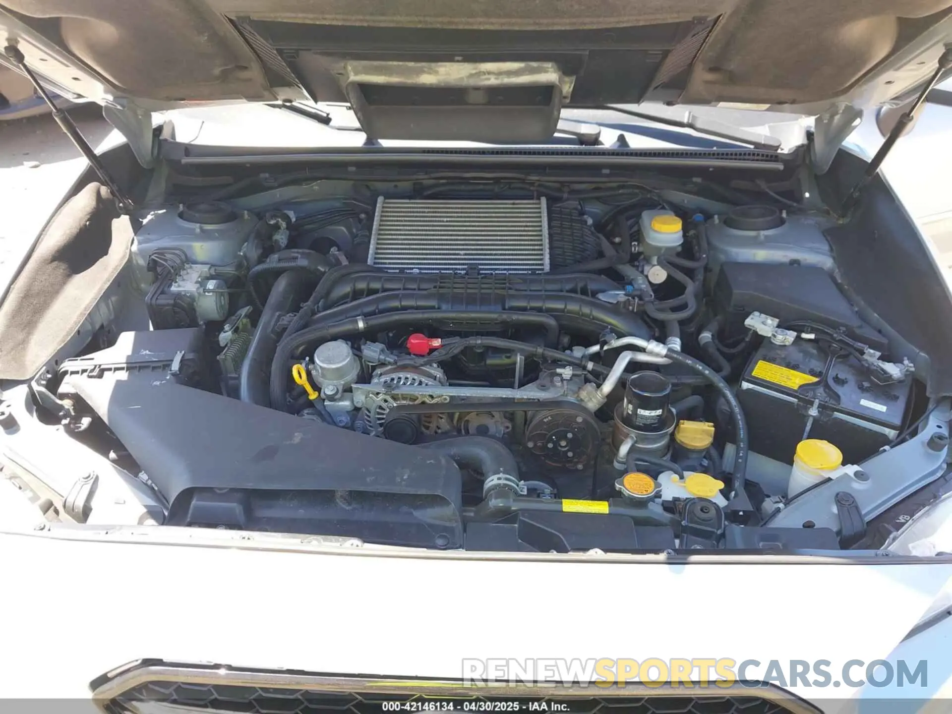 10 Photograph of a damaged car JF1VA1A60K9831241 SUBARU WRX 2019