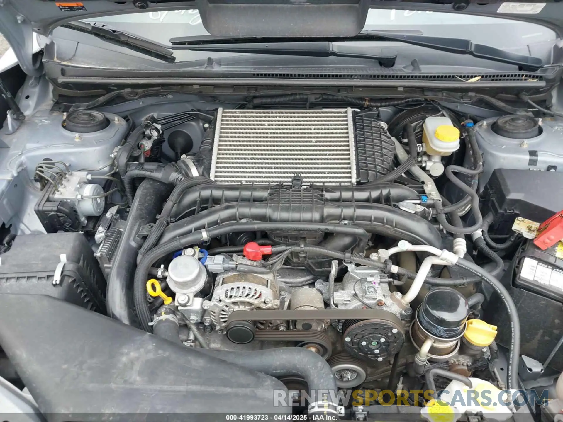 10 Photograph of a damaged car JF1VA1J61K9812729 SUBARU WRX 2019